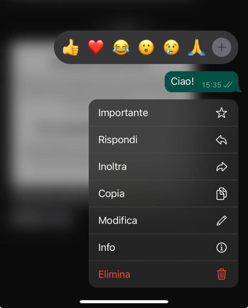 Finalmente Si Possono Modificare I Messaggi Su WhatsApp Tom S Hardware