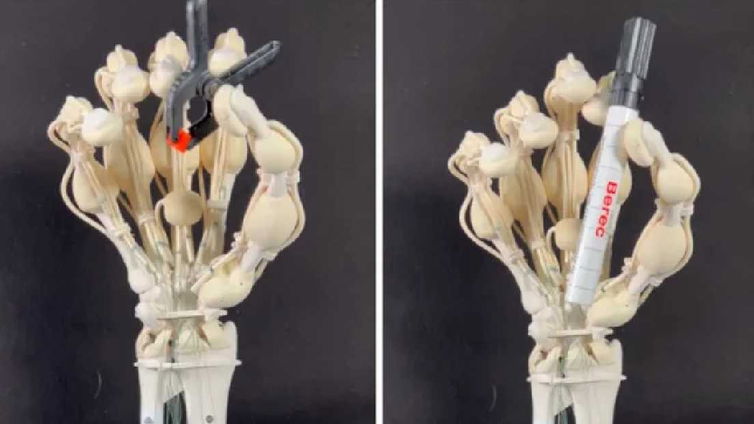 Immagine di Presto potremo stamparci arti sintetici direttamente in casa