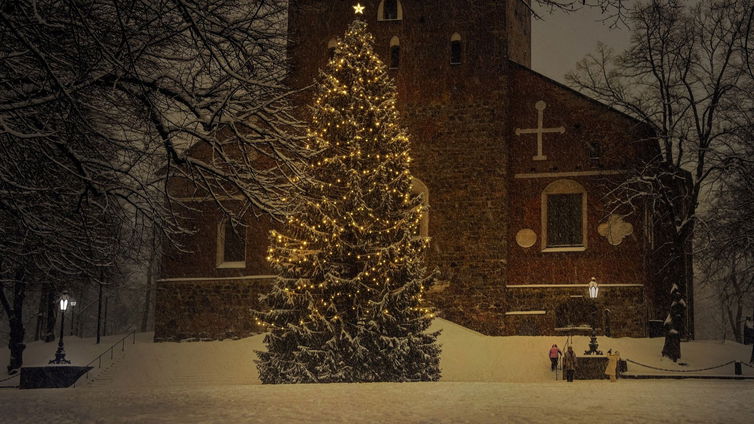 Immagine di Alberi di Natale in offerta su Amazon: ecco le migliori offerte!