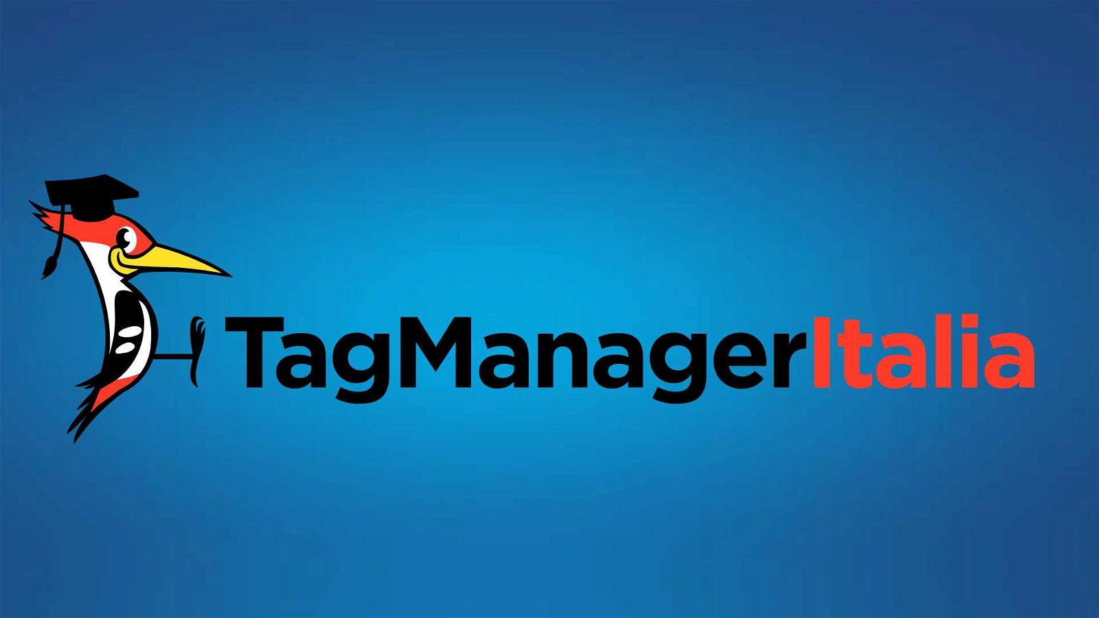 Immagine di Tag Manager Italia: eccellenza nell'analisi dati e consulenza globale