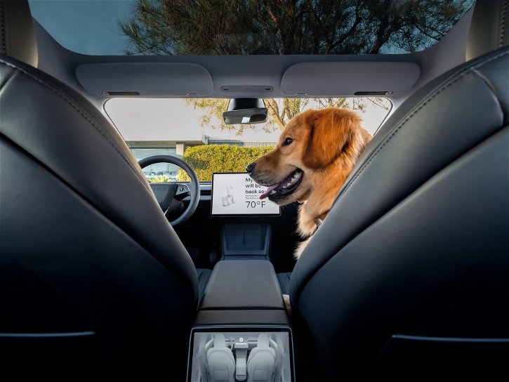Immagine di Nemmeno Musk crede più nella guida autonoma, ora è "supervisionata"
