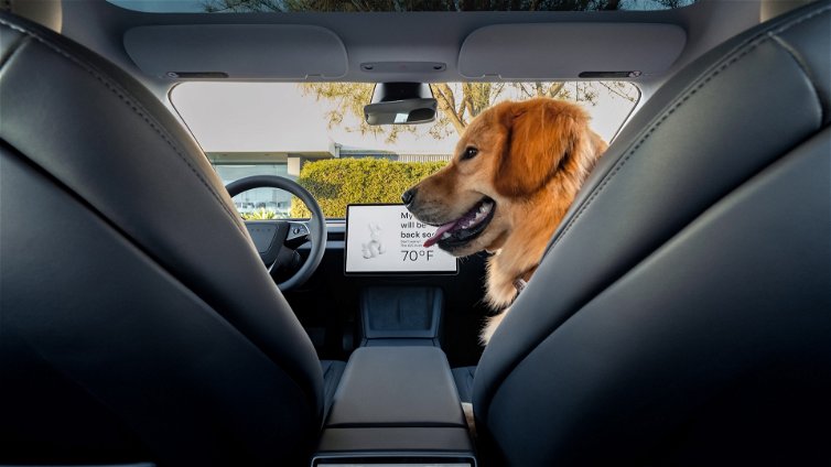 Immagine di Nemmeno Musk crede più nella guida autonoma, ora è "supervisionata"