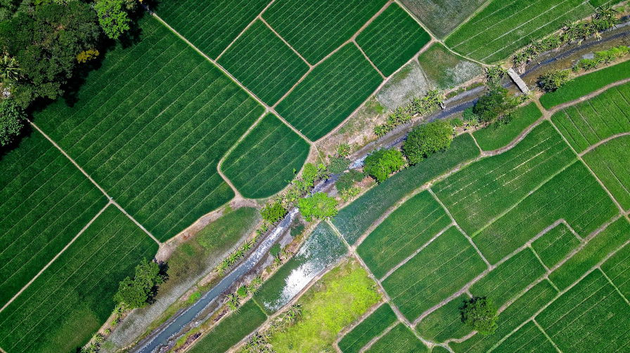 agricoltura