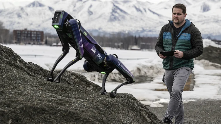 Immagine di Il cane robotico Spot passa dal servire la polizia a scoraggiare gli uccelli migratori