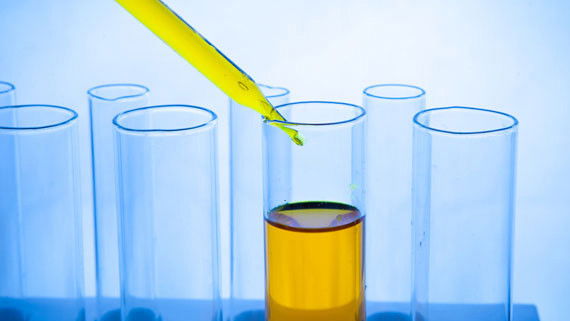 Immagine di Agreen Biosolutions, la startup italiana che insegna alle culture ad autoproteggersi