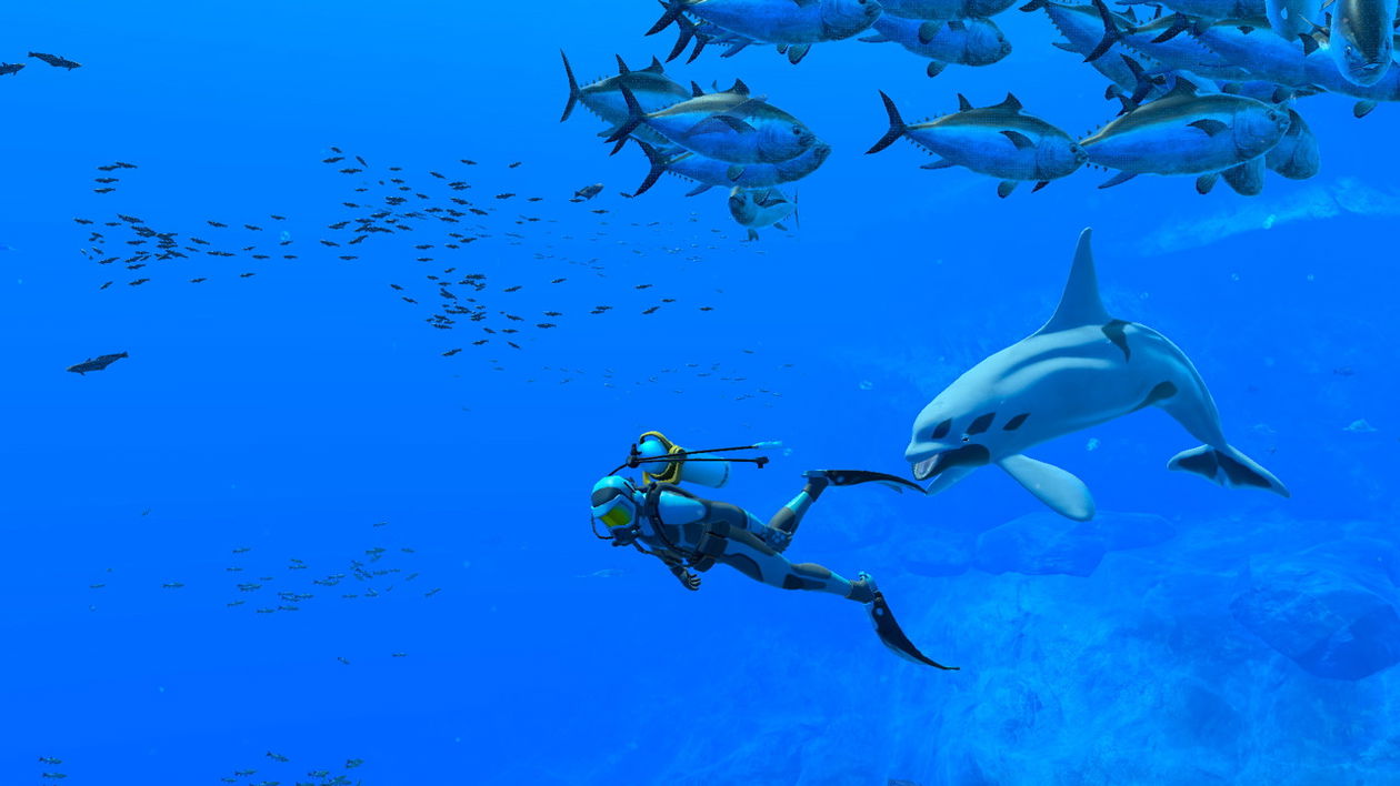 Immagine di Endless Ocean Luminous, la vita è piena di bollicine in fondo al mar | Recensione