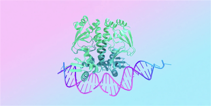 Immagine di AlphaFold 3: la rivoluzione nella previsione delle strutture molecolari della vita