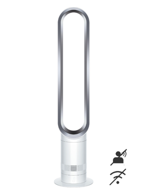 Immagine di Dyson Cool AM07