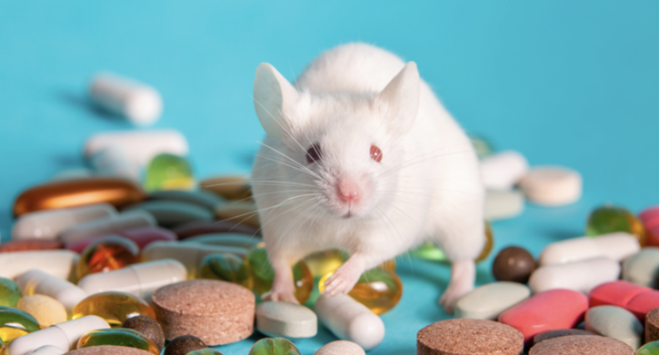 Immagine di Un nuovo farmaco allunga la vita dei topi e li fa ringiovanire