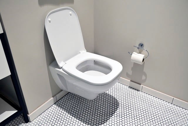 Immagine di Arriva la fotocamera da WC che fa le foto esattamente a quello che stai pensando