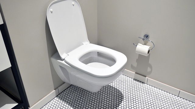 Immagine di Arriva la fotocamera da WC che fa le foto esattamente a quello che stai pensando