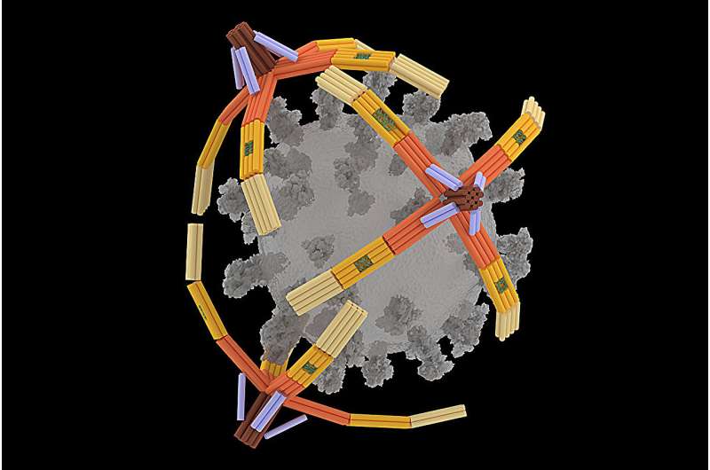 Immagine di Un nanorobot a forma di mano e fatto di DNA, cattura i virus per la diagnostica