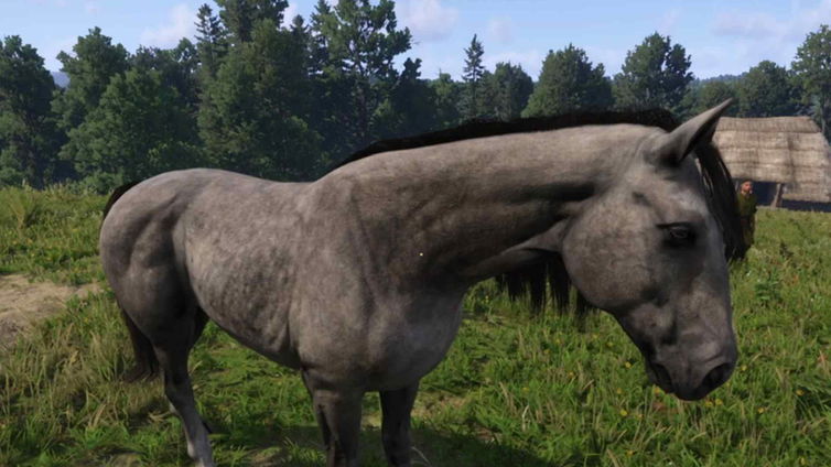 Immagine di Kingdom Come Deliverance 2: come ottenere gratuitamente il cavallo (trofeo Un vecchio Amico)