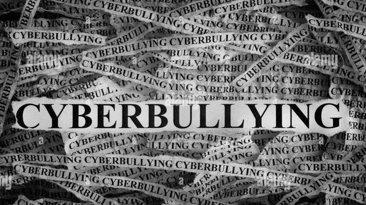 Immagine di Cyberbullismo e sicurezza online nel progetto: "Cyberbullying is not a game"