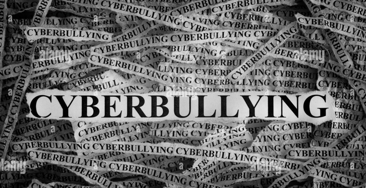 Immagine di Cyberbullismo e sicurezza online nel progetto: "Cyberbullying is not a game"