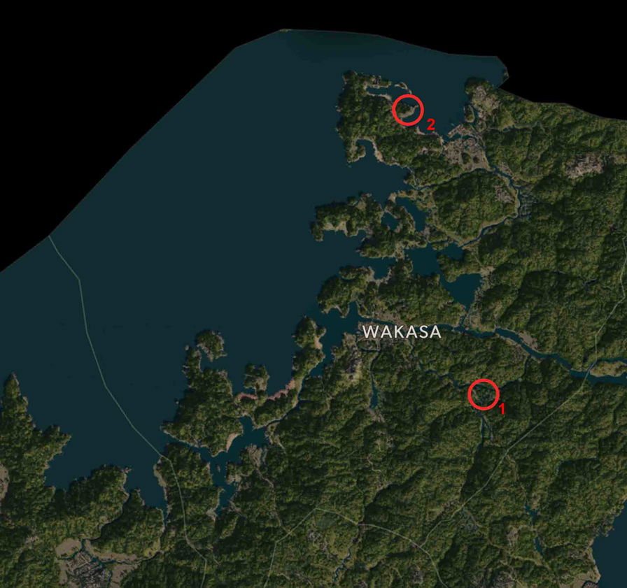 Assassin's Creed Shadows guida ai kata