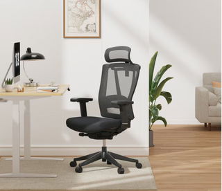 Immagine di Flexispot BS14