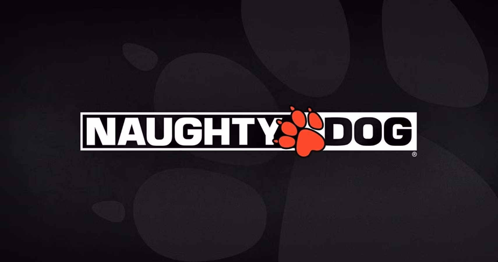 Immagine di Naughty Dog denuncia un'azienda per copyright, si chiama "Naughty Cat"