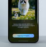 HONOR 400 Series, dalla singola foto a ricordi in movimento