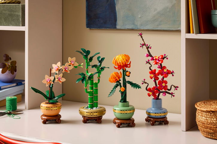 Immagine di Crea un’oasi zen con LEGO Botanicals: PREZZI SHOCK su Amazon!