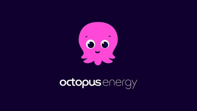 Immagine di ULTIMI GIORNI! Approfitta ora dell'offerta Octopus con Luce e Gas a prezzo fisso per 12 mesi