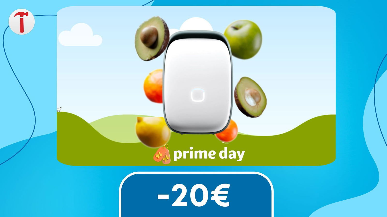 Allunga la vita del cibo con il nuovo VITESY SHELFY in OFFERTA a soli 99€!