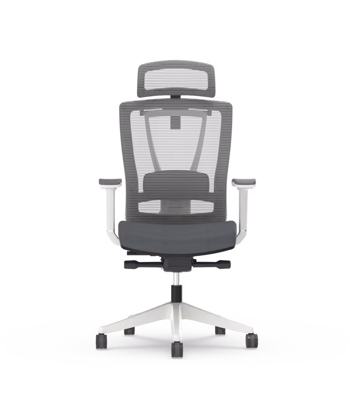 Immagine di Flexispot BS14