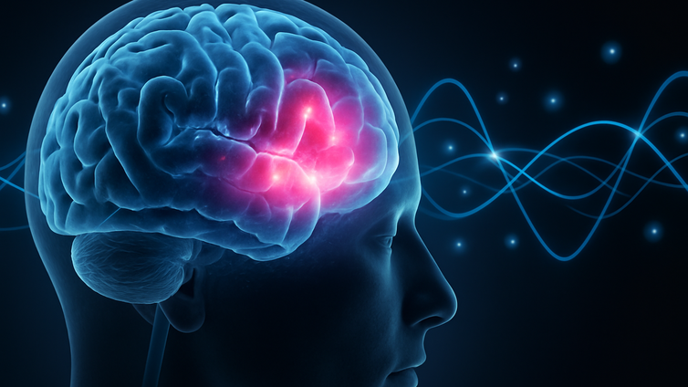 Immagine di Ansia: identificati i neuroni chiave nel cervello