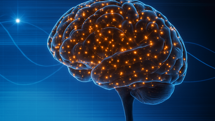 Immagine di Ictus: ultrasuoni eliminano i detriti dal cervello