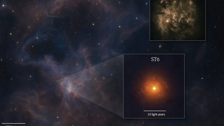 Immagine di Webb scopre i mattoni della vita in una galassia