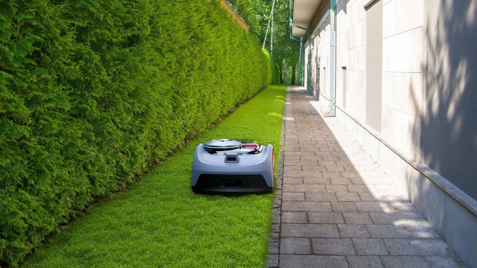 Ha tagliato l’erba e anche il prezzo! Ora questo robot è nella Top 3 del Black Friday