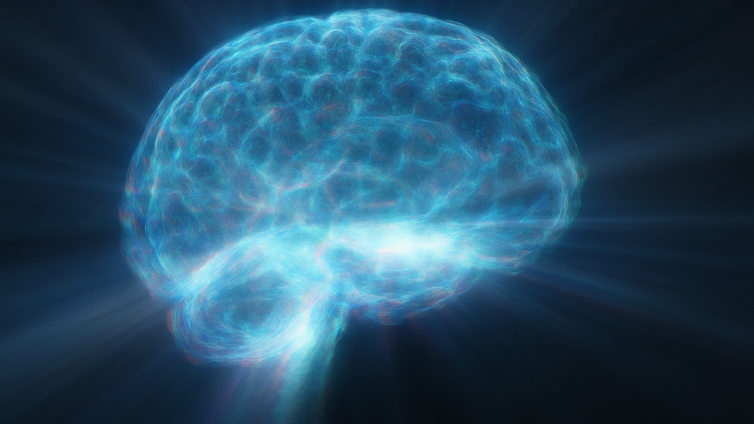 Immagine di Obesità e cervello: segni di neurodegenerazione già a 20 anni