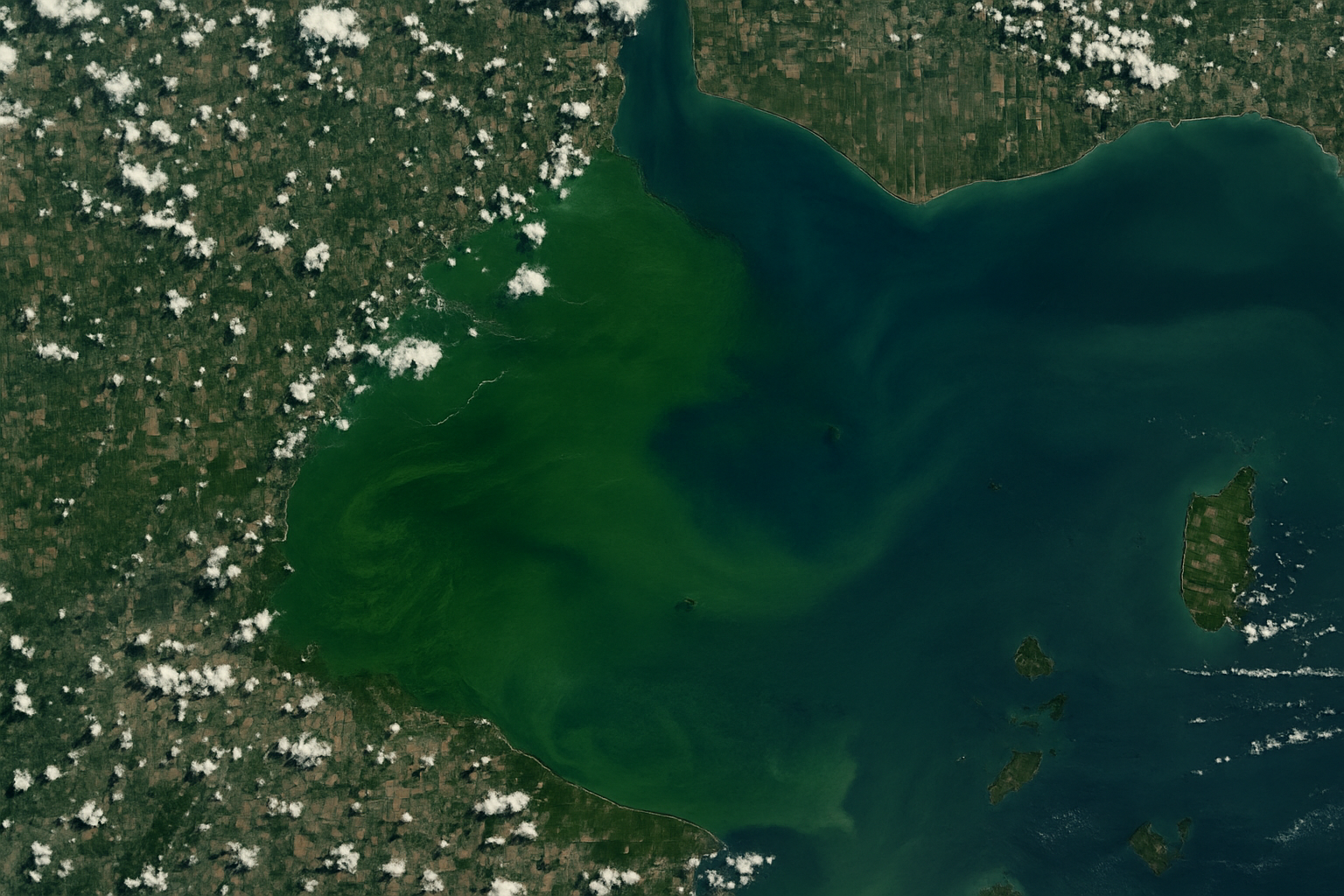 Scoperta la fonte della neurotossina nel Lago Erie