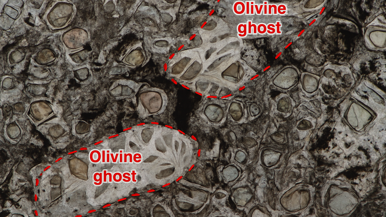 Immagine di La Terra primordiale era viva: nuovi dati lo dimostrano