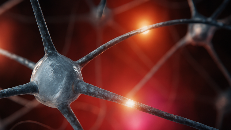 Immagine di Ansia, rivelato un deficit chimico nel cervello umano