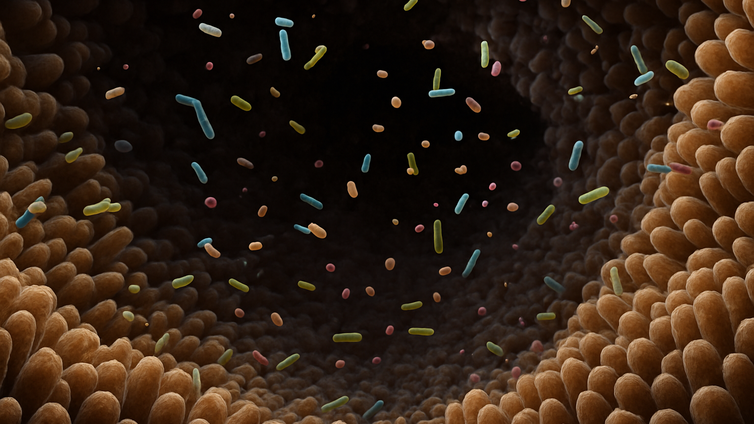 Immagine di Dal microbioma una chiave contro il diabete di tipo 2