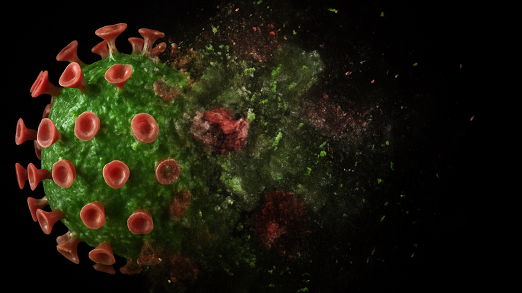 Immagine di Herpes, trovato il “tallone d’Achille” molecolare del virus