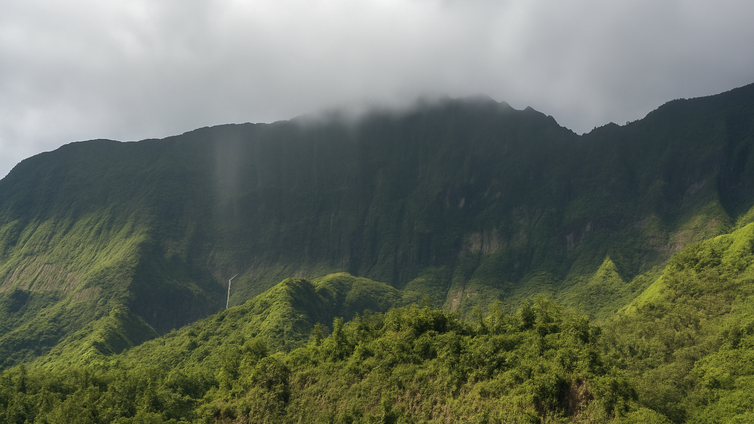 Immagine di Polinesia, il clima guidò le grandi migrazioni oceaniche