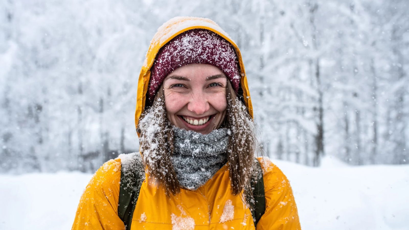 Offerta invernale Alperia: sottoscrivi oggi e scopri la convenienza su luce e gas