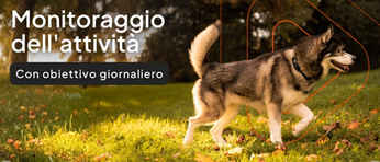 Immagine id 92101