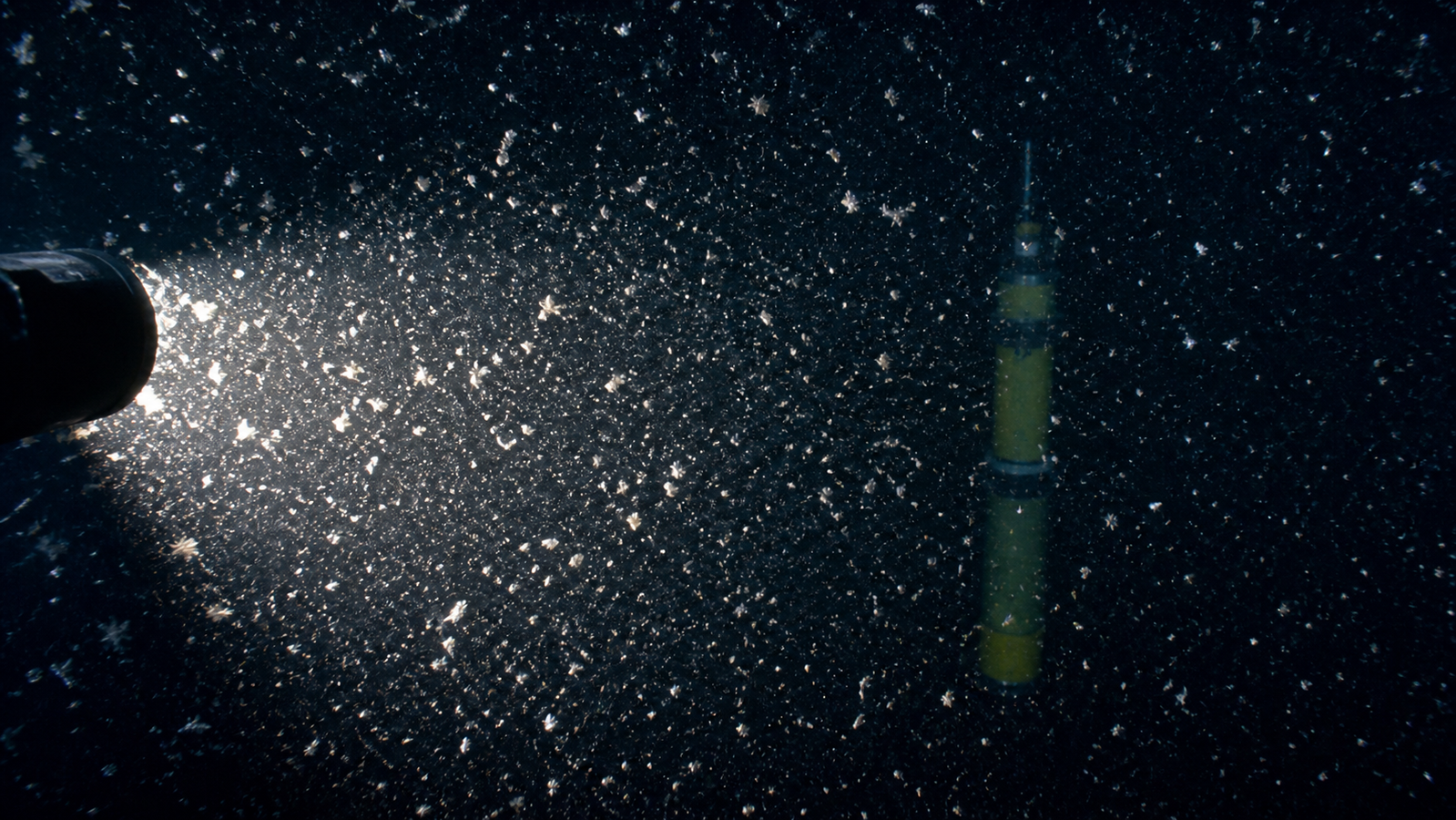 La neve marina ha una scorciatoia per raggiungere gli abissi