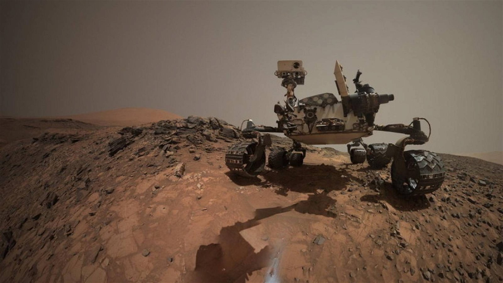 Immagine di Su Marte il rover NASA Curisity ha trovato una pietra che sembra un fiore