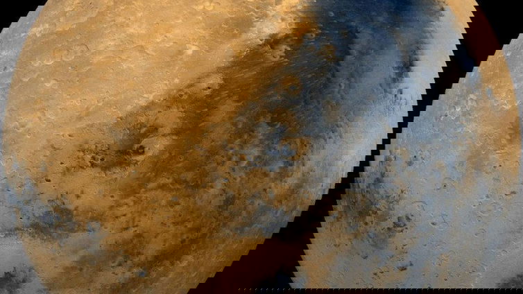 Immagine di La vita su Marte? Per Elon Musk sarà “dura, difficile e pericolosa”