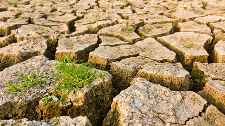 Immagine di Google finanzia le lobby che negano il cambiamento climatico