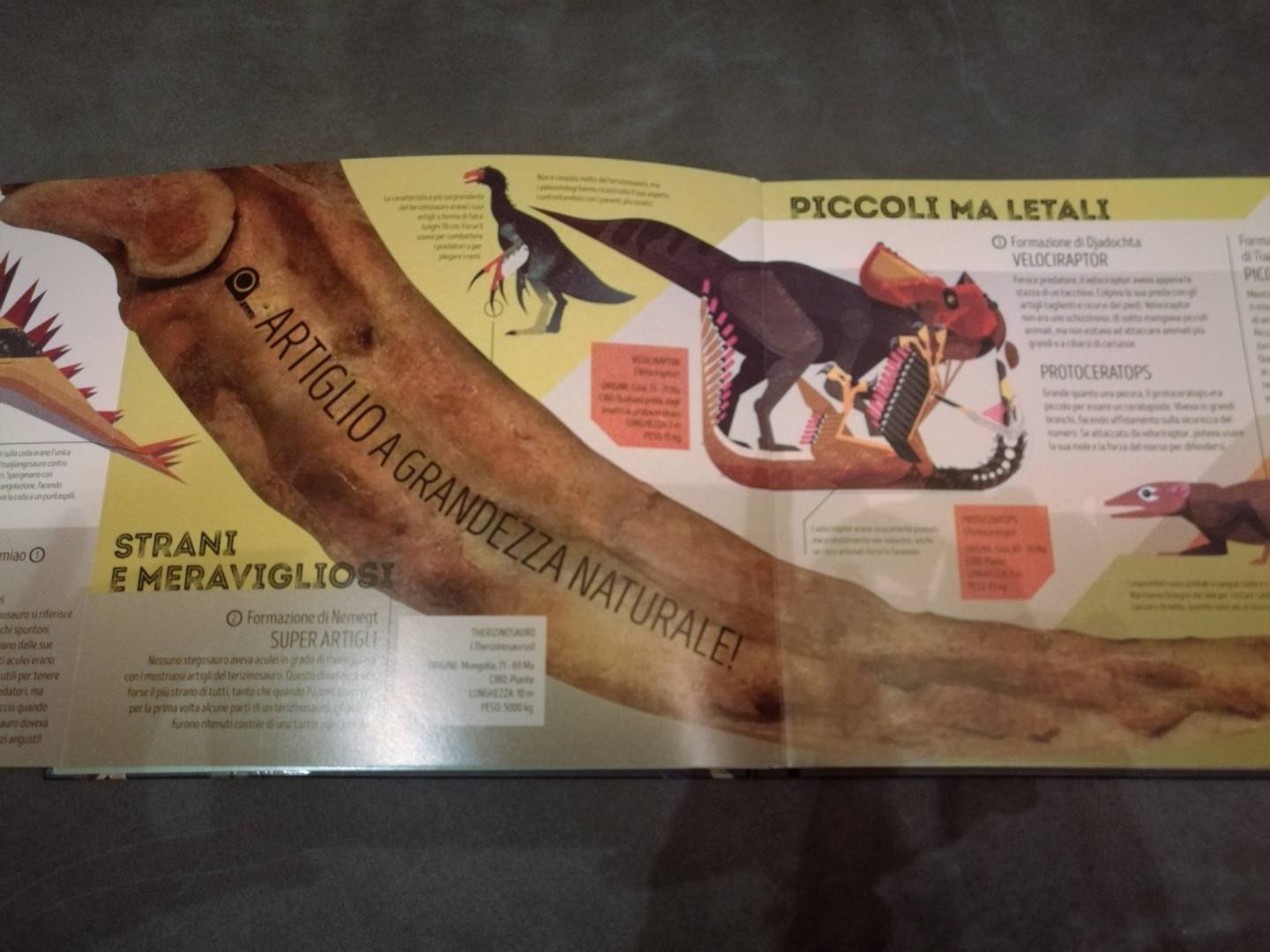 Immagine di Grande atlante dei dinosauri, il libro definitivo per giovani paleontologi