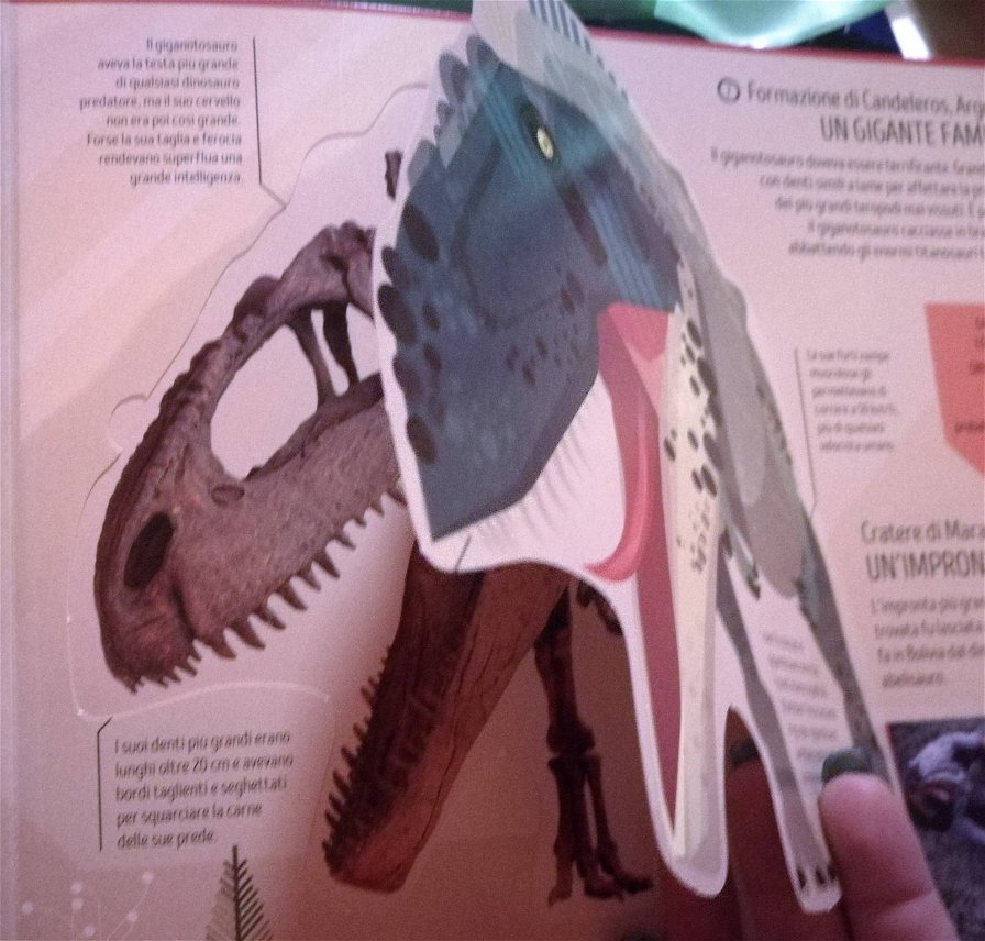 libri-dinosauri-7836.jpg