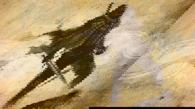 Immagine di Lupo Solitario, i librogioco diventano una serie