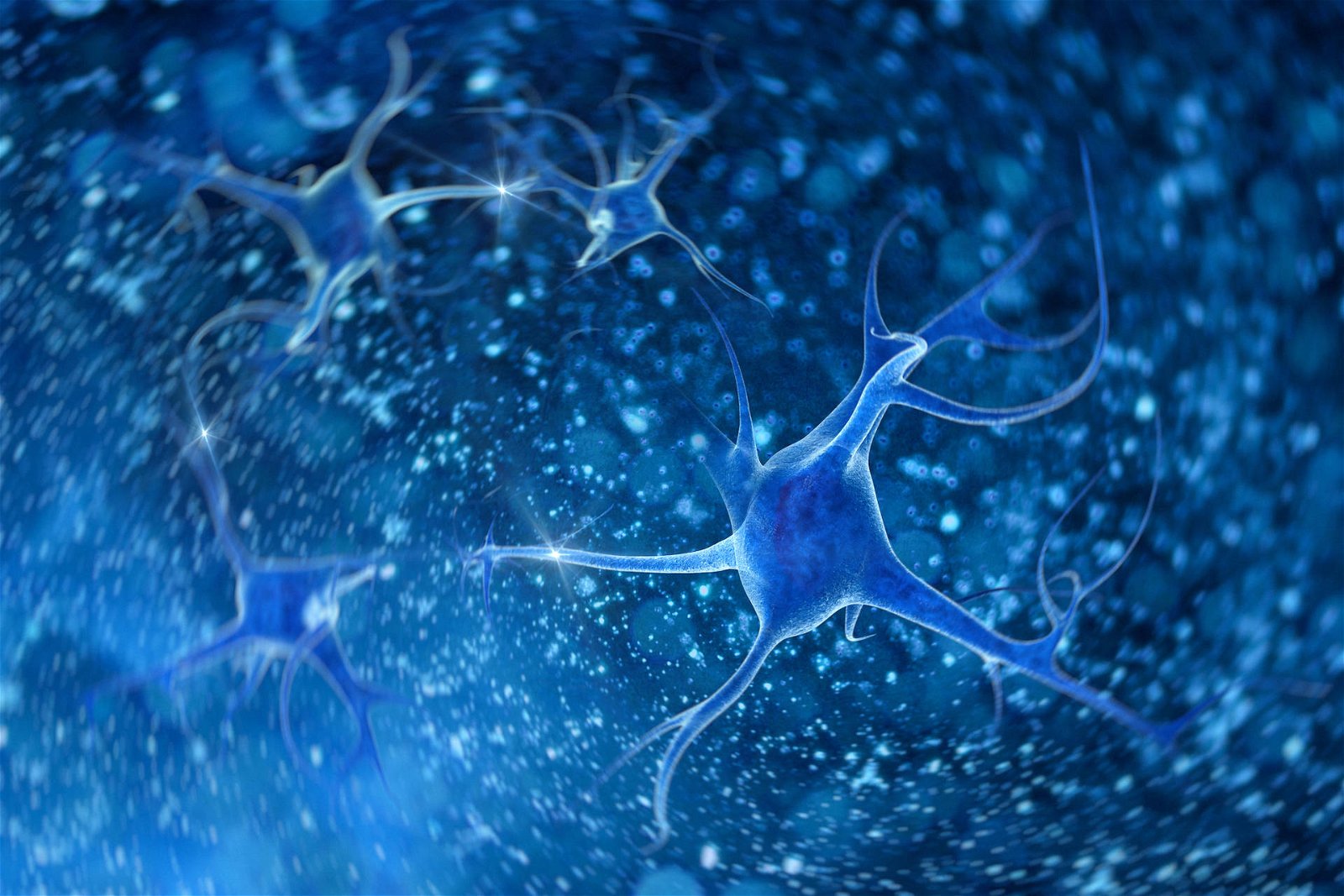 Immagine di Sinapsi artificiali per la comunicazione neurale, ricerca italiana apre la strada a protesi di nuova generazione