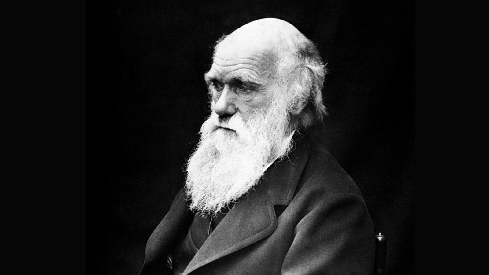 Immagine di Charles Darwin, tanti auguri al padre dell'evoluzione