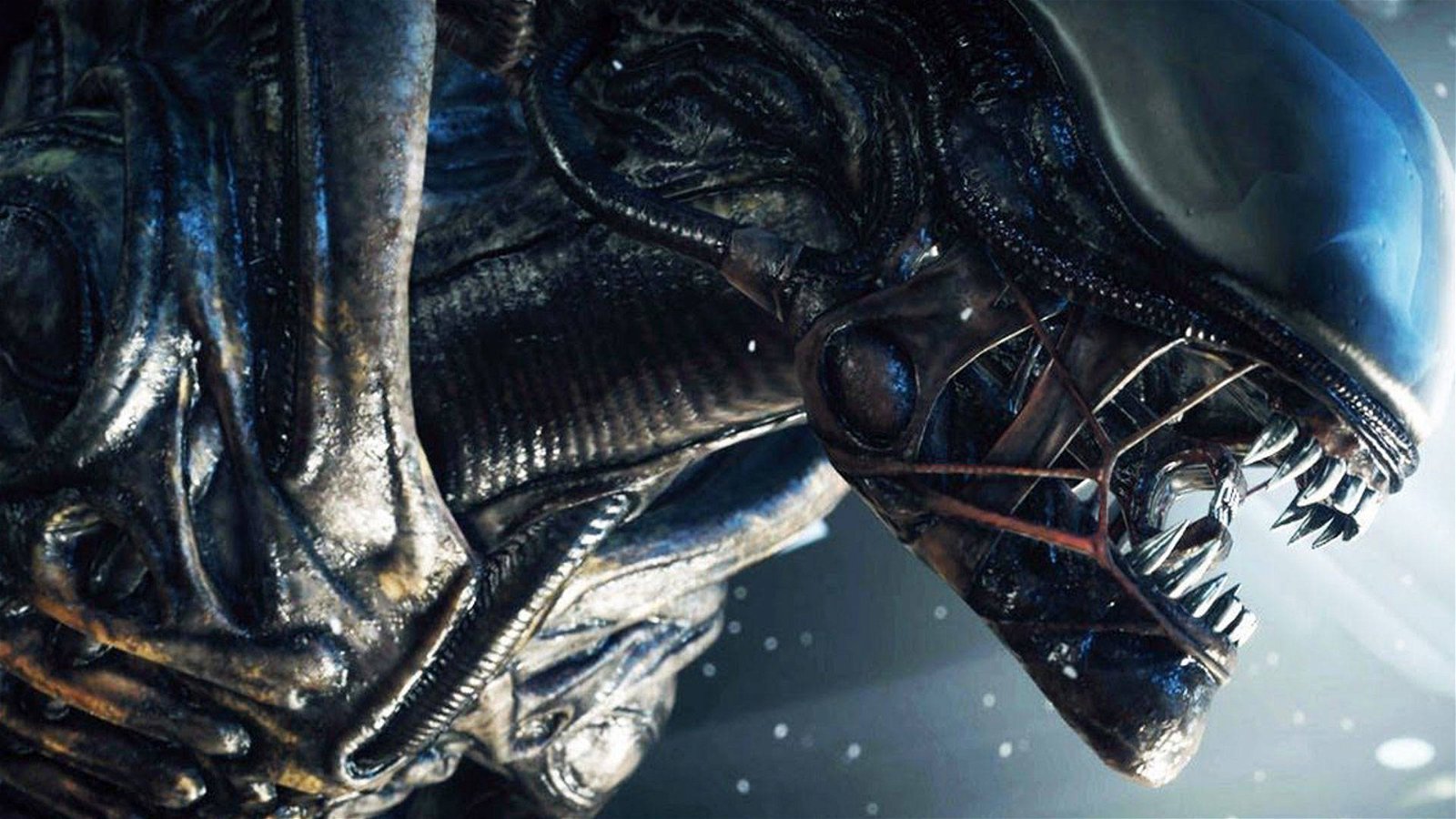 Immagine di Alien, la saga potrebbe continuare anche con Disney, ma chi ci sarà alla regia?